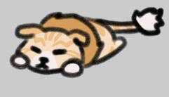 Apricotkit (WCRP)